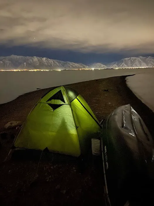 Bird Island Picture 10