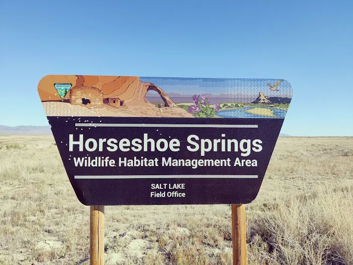 Skull Valley Offroad Camping Area Picture 1