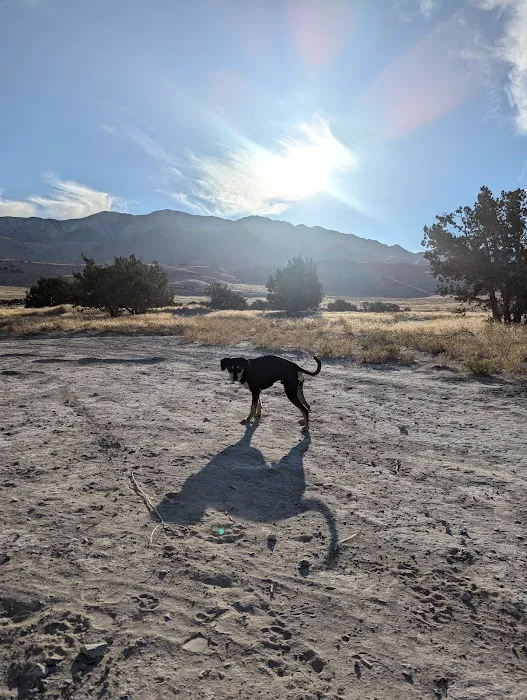 Skull Valley Offroad Camping Area Picture 10