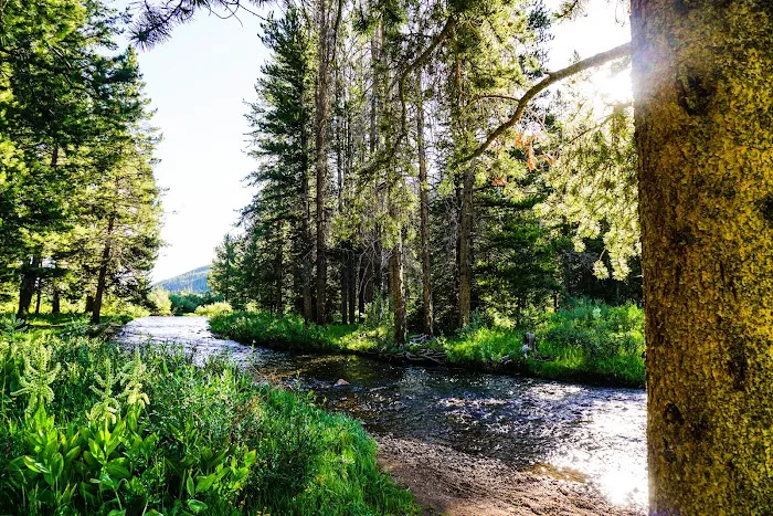 Go Camp Utah Picture 1