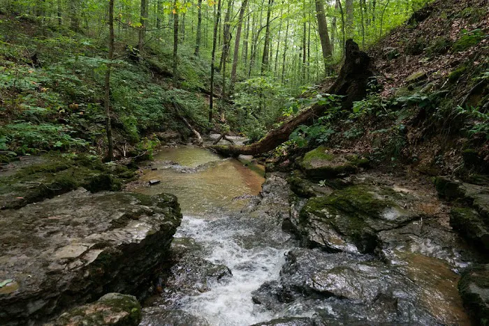 Happy Camper RV Park Lake Cumberland Picture 5