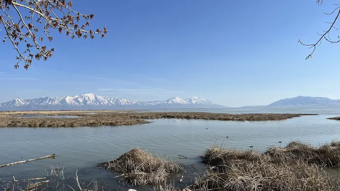 Lake Shore Campground Picture 3