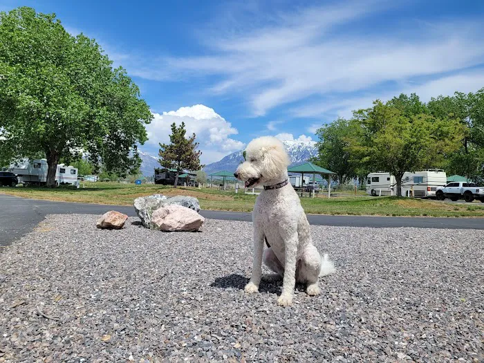 Lake Shore Campground Picture 7