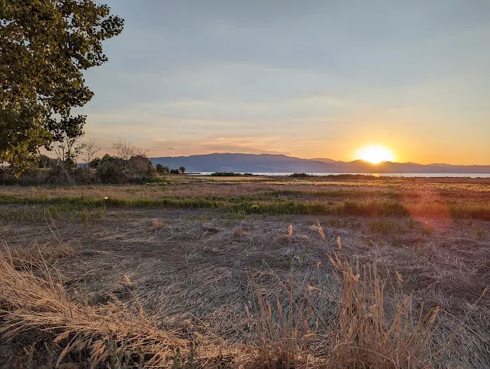 Lake Shore Campground Picture 10