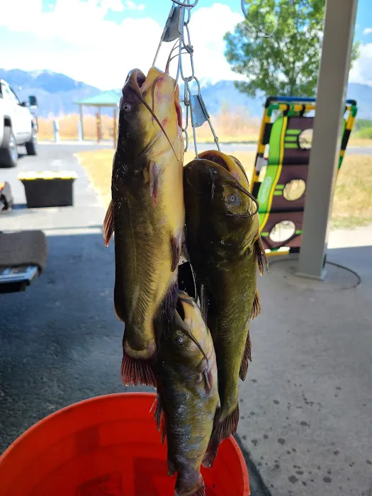 Utah Lake State Park Group Campground Picture 5