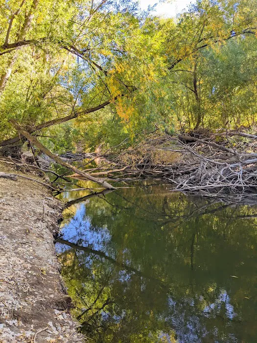 Lakeside RV Campground Picture 10