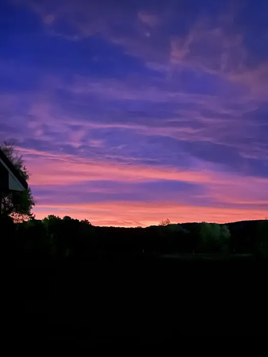 Rock Wall RV Park Picture 4