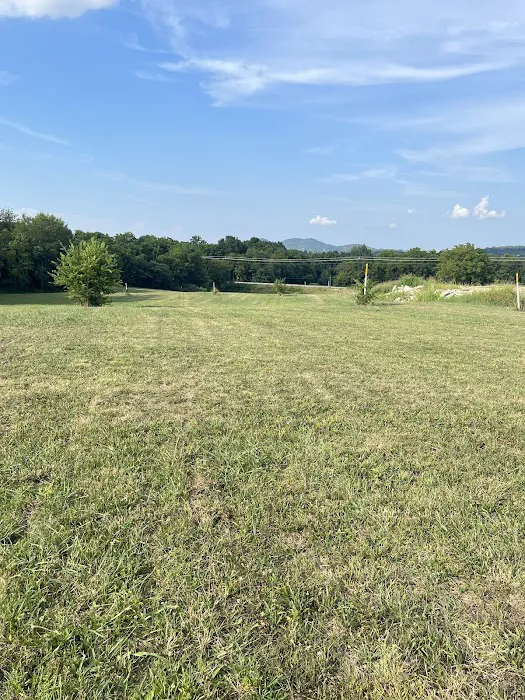 Rock Wall RV Park Picture 8