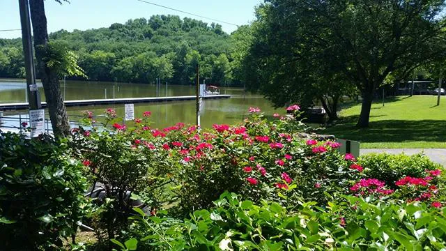 Shady Cove Resort, Marina & Campground LLC Picture 4