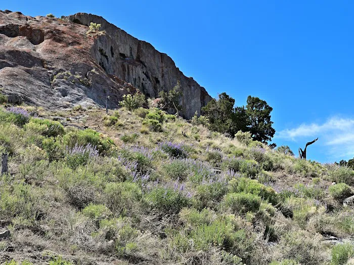 White Rock Picture 7