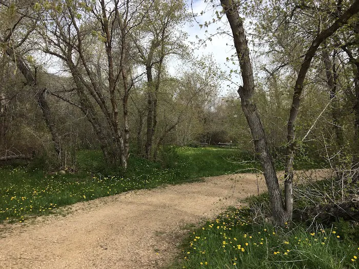 Wallsburg Recreation Camp Picture 9