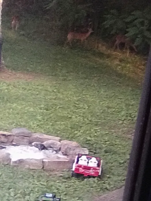 Sunday Morning RV Park Picture 3