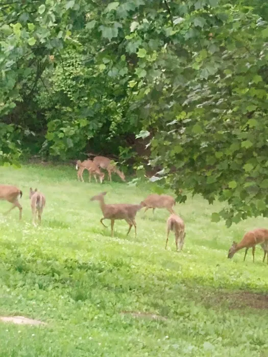 Sunday Morning RV Park Picture 5