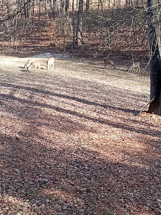 Sunday Morning RV Park Picture 8