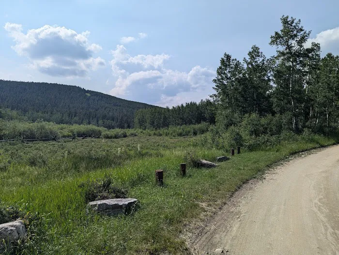 Circle Park Campground Picture 6