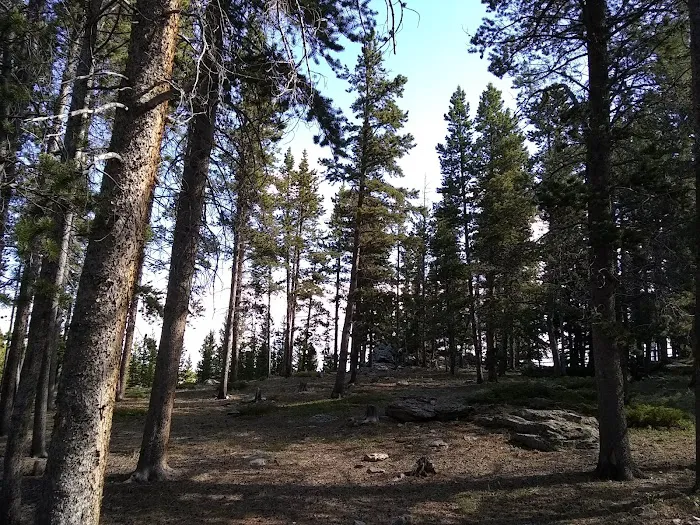 Circle Park Campground Picture 8