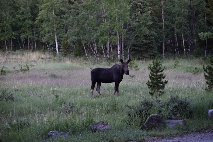 Circle Park Campground Picture 10