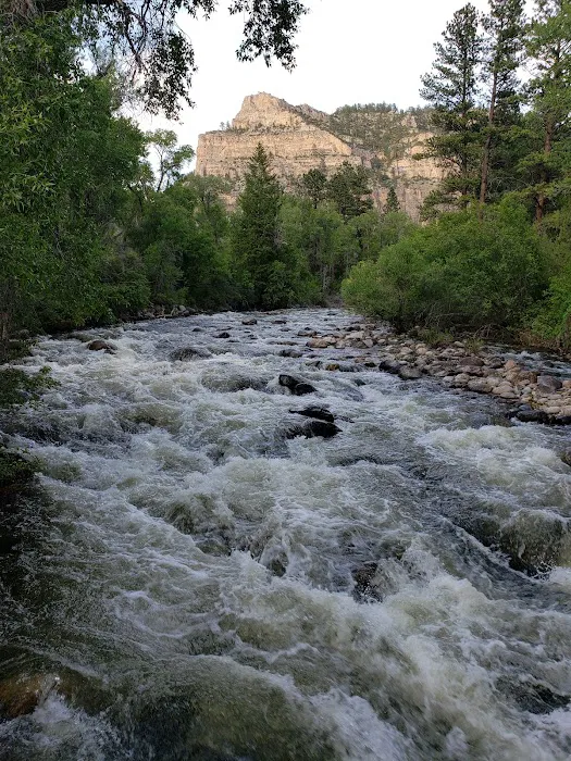 Leigh Creek Campground Picture 7
