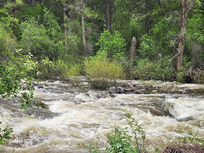 Leigh Creek Campground Picture 3