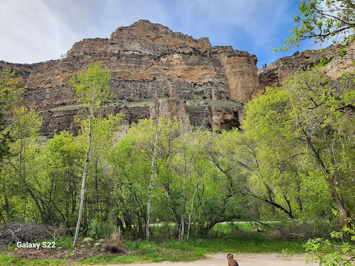 Leigh Creek Campground Picture 8
