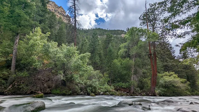 Leigh Creek Campground Picture 6