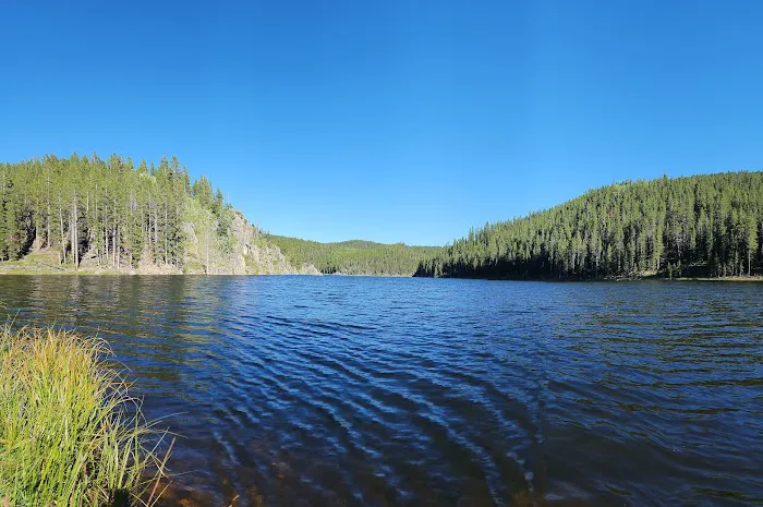 South Fork Campground Picture 2