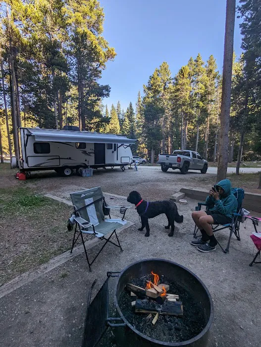 South Fork Campground Picture 1