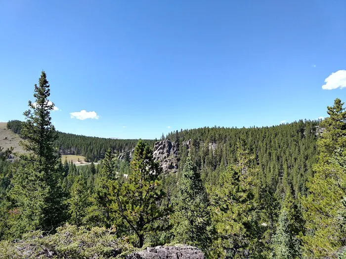 South Fork Campground Picture 4