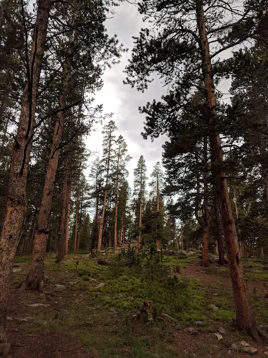 Pole Creek Cabin Picture 9