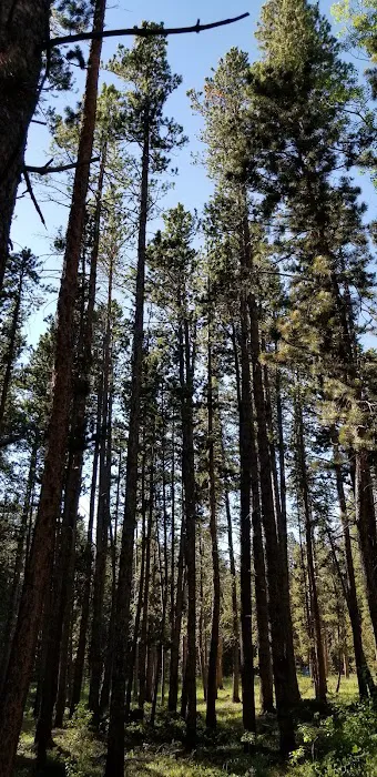 LOST CABIN CAMPGROUND Picture 8