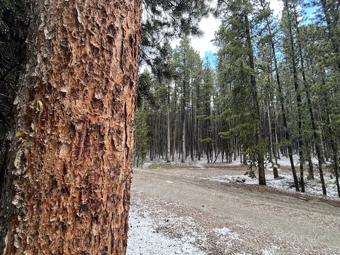 LOST CABIN CAMPGROUND Picture 6