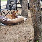 LOST CABIN CAMPGROUND