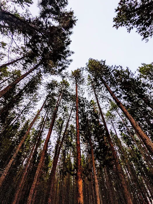 LOST CABIN CAMPGROUND Picture 9