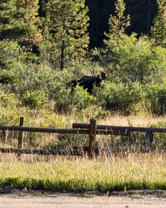 Doyle Campground Picture 4