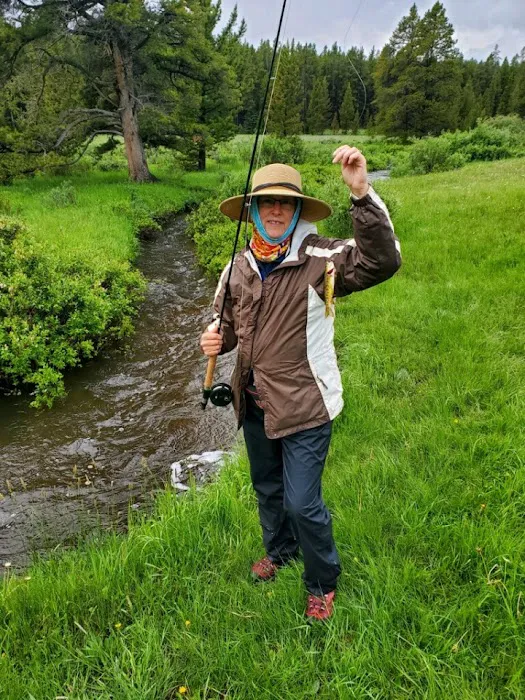 Doyle Campground Picture 1