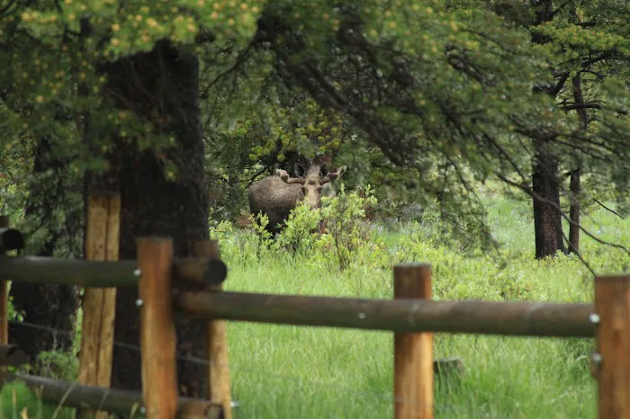 Doyle Campground Picture 2