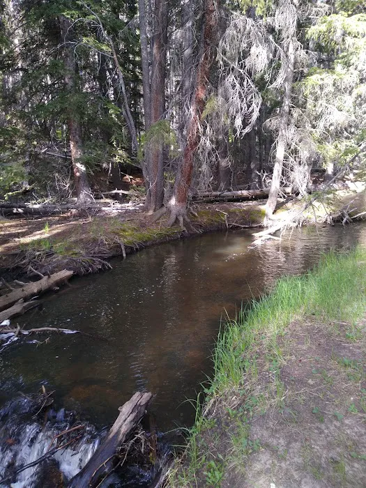 Doyle Campground Picture 10