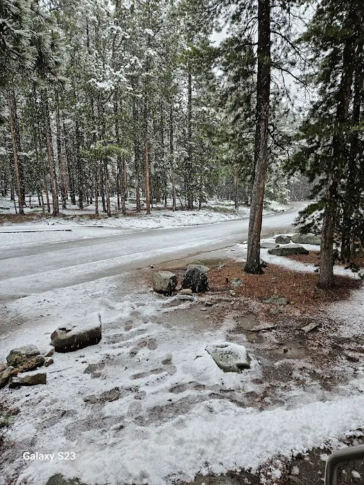 Doyle Campground Picture 3