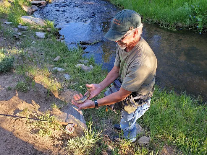 Doyle Campground Picture 9