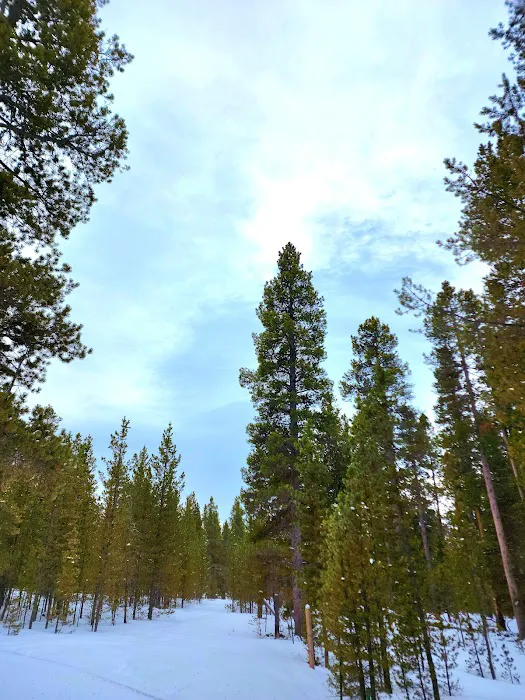 Pole Creek X-Country Site Picture 1