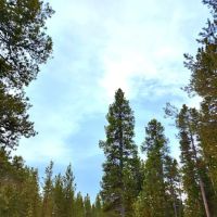 Pole Creek X-Country Site ico