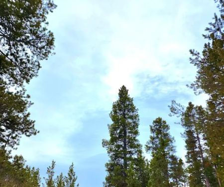 Pole Creek X-Country Site