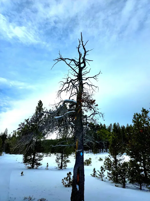 Pole Creek X-Country Site Picture 10