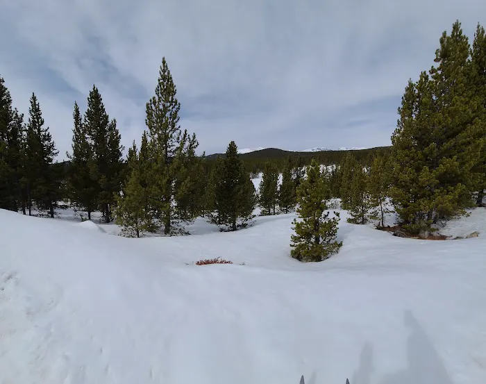 Pole Creek X-Country Site Picture 9