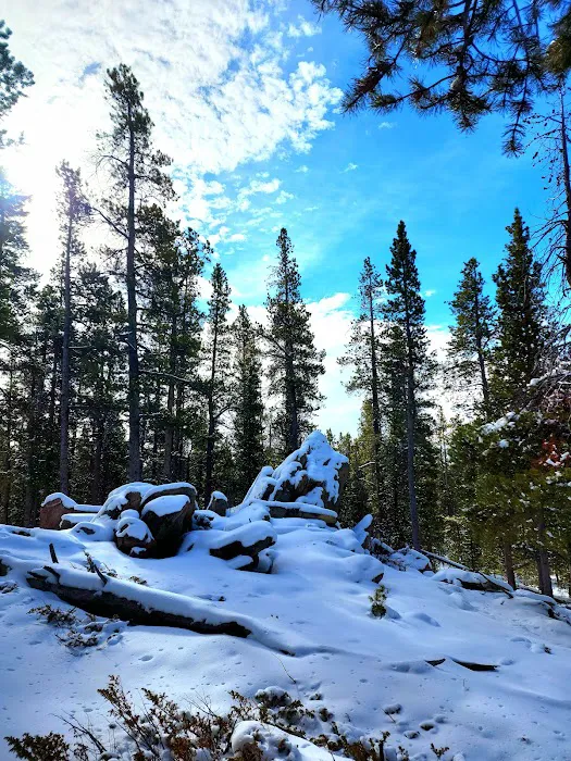 Pole Creek X-Country Site Picture 4