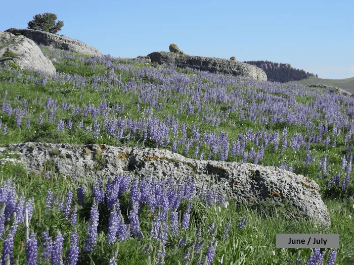 Mountain View Ministry Retreat Picture 8