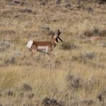 Bighorn View RV Campground