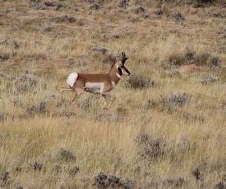 Bighorn View RV Campground