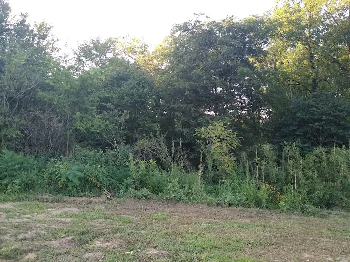 Wills Creek RV Park Picture 9