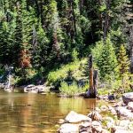 Ledgefork Campground